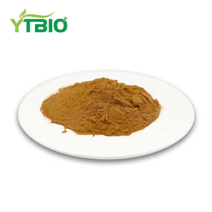 Innovative Uses of Prickly Pear Powder in Food & Beverage Innovative Uses of Prickly Pear Powder in Food & Beverage